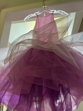 Purple Layered Tulle Ballet Dress